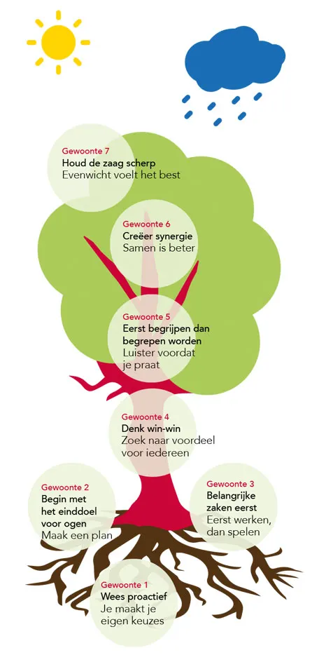 Boom-van-zeven-gewoontes