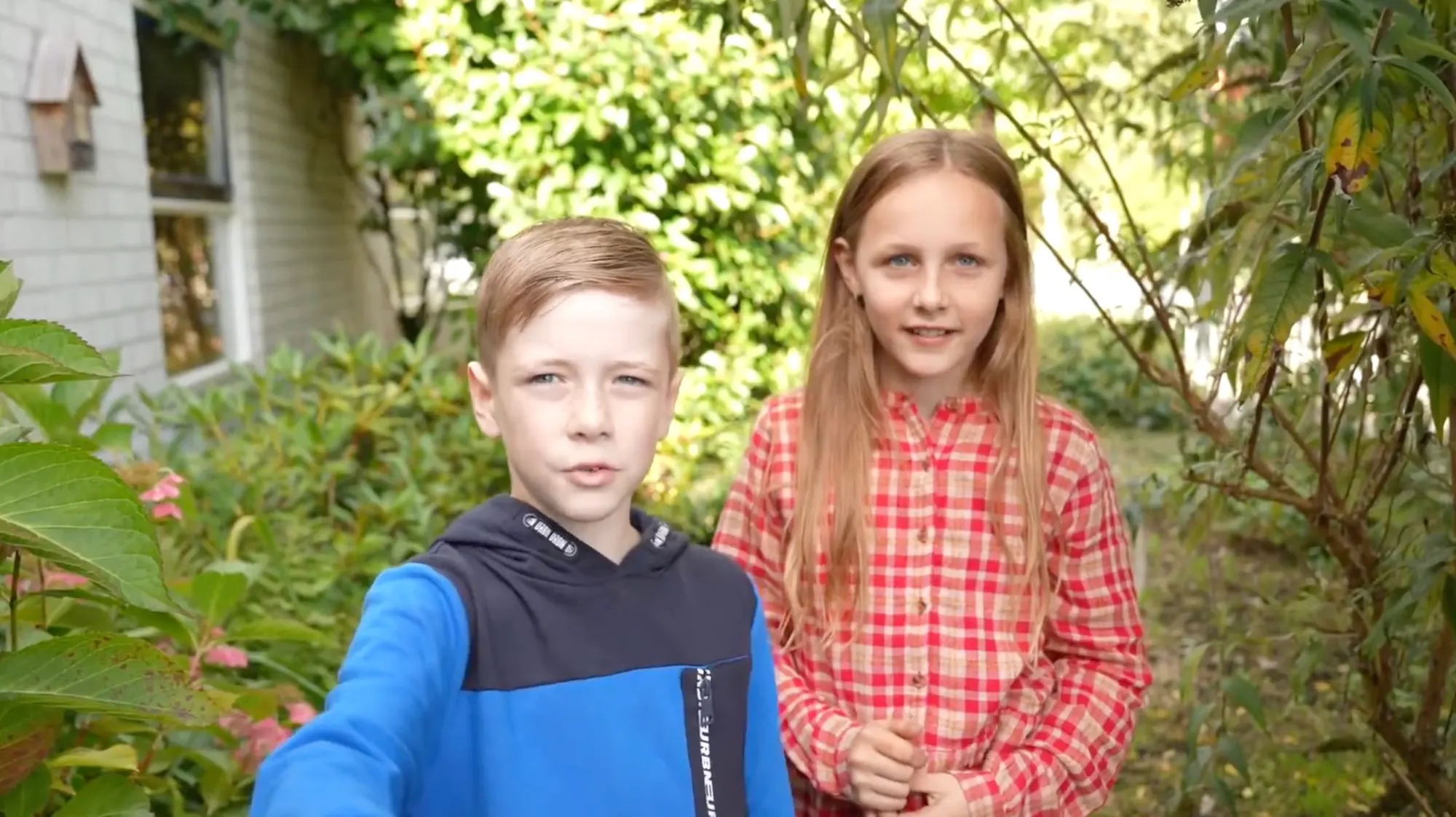 Vloggers video GMS
